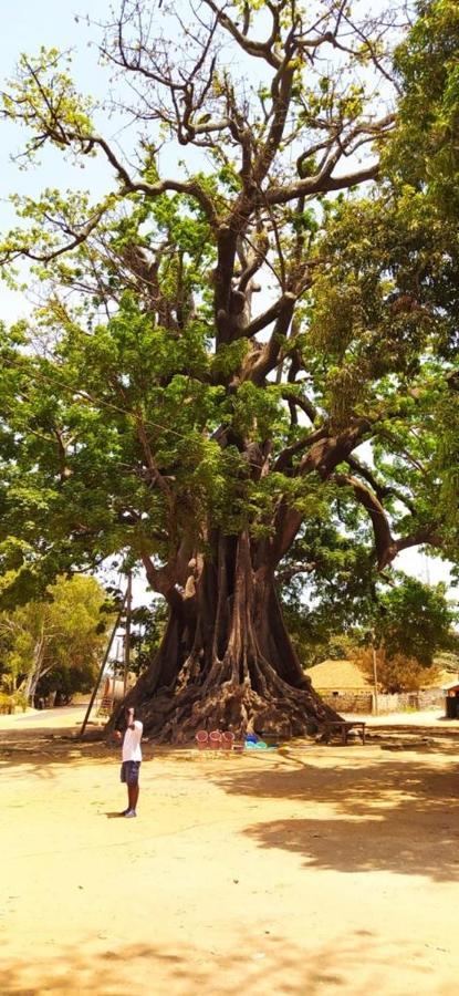 קפ סקירינג Villa Nemocotier מראה חיצוני תמונה