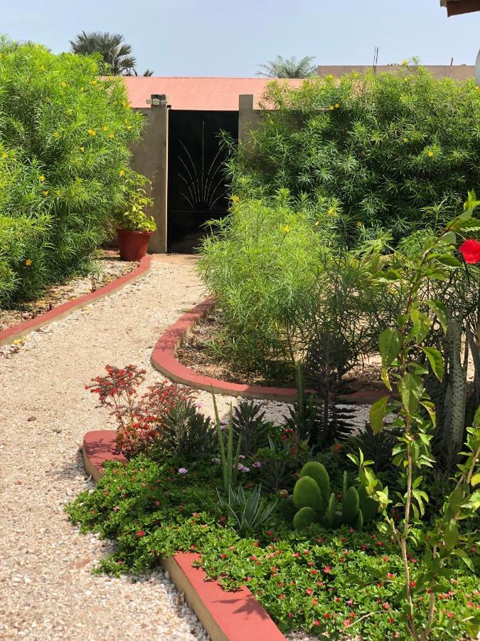 קפ סקירינג Villa Nemocotier מראה חיצוני תמונה