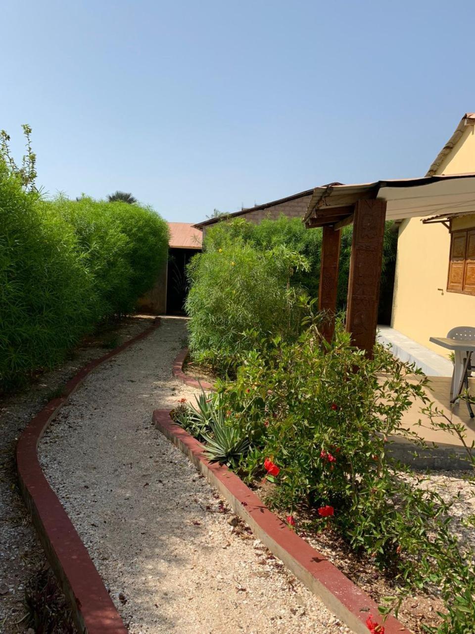 קפ סקירינג Villa Nemocotier מראה חיצוני תמונה