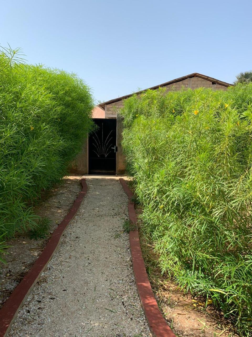 קפ סקירינג Villa Nemocotier מראה חיצוני תמונה