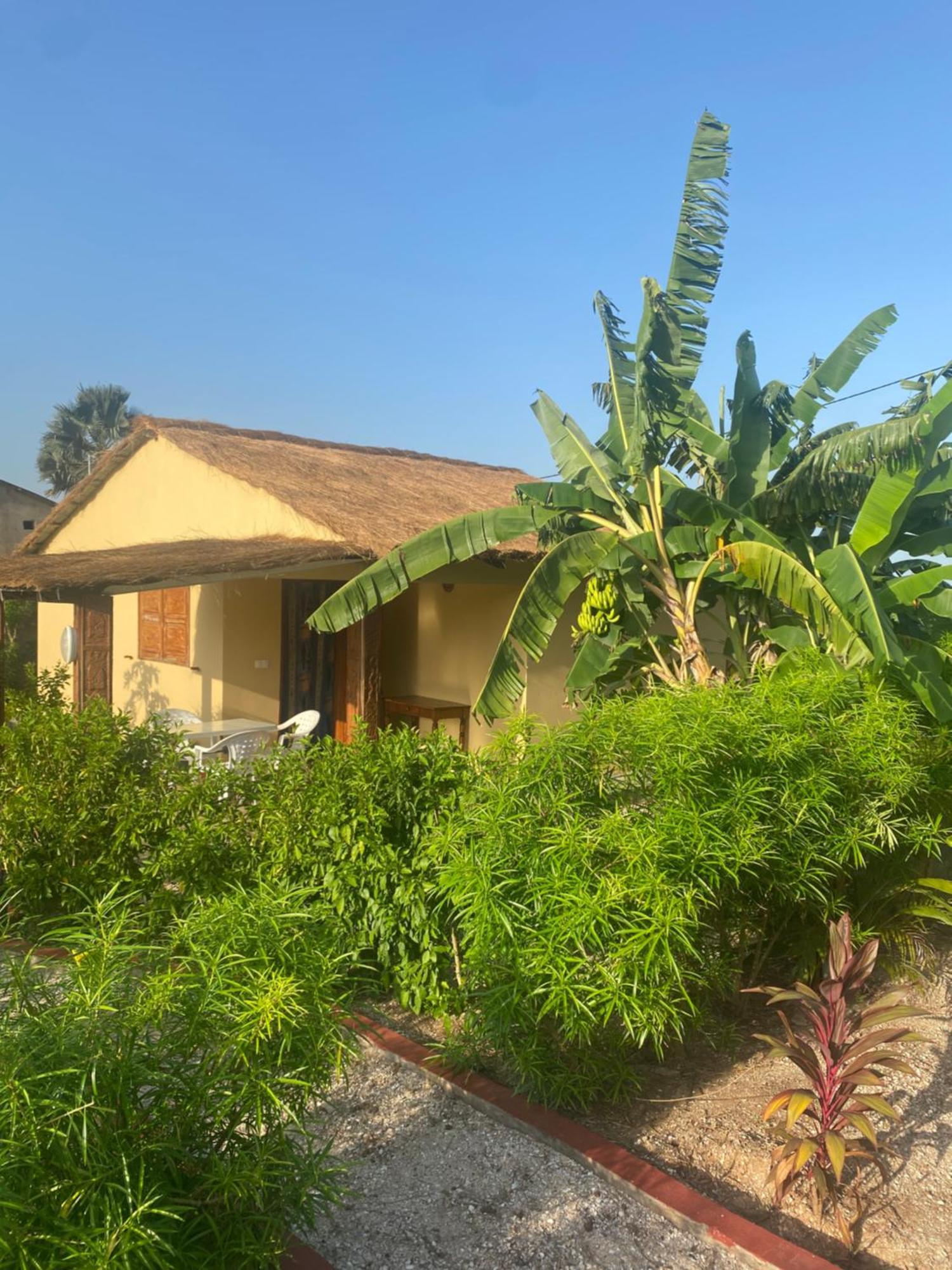 קפ סקירינג Villa Nemocotier מראה חיצוני תמונה